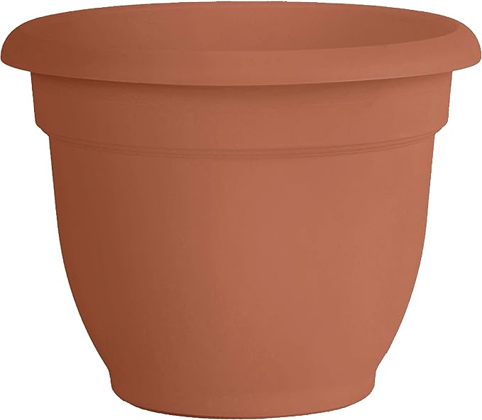 Bloem Ariana 10" Round Self-Watering Resin Planter Pot - Rolled Rim Indoor and Outdoor Gardening Planter, Terra Cotta