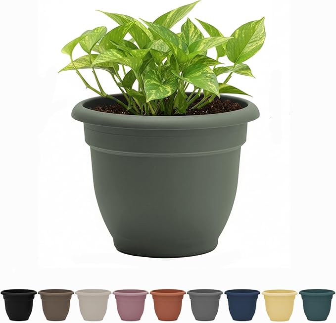 Bloem Ariana 8" Basil Round Self-Watering Resin Planter Pot - Rolled Rim Indoor and Outdoor Gardening Planter