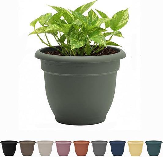 Bloem Ariana 8" Basil Round Self-Watering Resin Planter Pot - Rolled Rim Indoor and Outdoor Gardening Planter