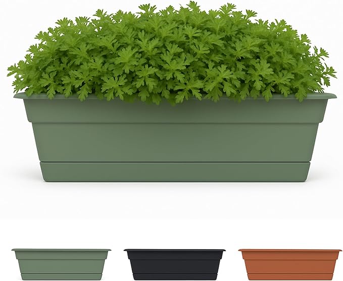 Bloem Dura Cotta 24" Basil Resin Rectangle Window Box Planter with Saucer Tray for Indoor and Outdoor Gardening
