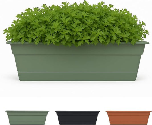 Bloem Dura Cotta 24" Basil Resin Rectangle Window Box Planter with Saucer Tray for Indoor and Outdoor Gardening