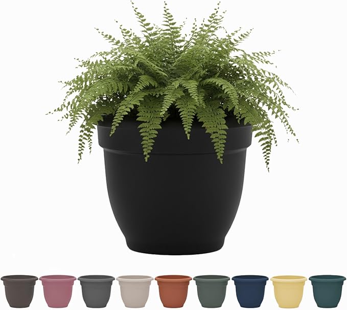 Bloem Ariana 6" Self-Watering Plastic Planter - Rolled Rim Indoor/Outdoor Garden Pot, Black