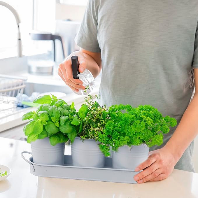 Herb Garden Planter Set ?€? 3-Pcs Set Galvanized Metal Herb Planters for Indoors Plants with Tray ?€? Indoor Plant Pots for Apartment Window, Balcony, Garden ?€? Potting Pots for Herbs and Flowers