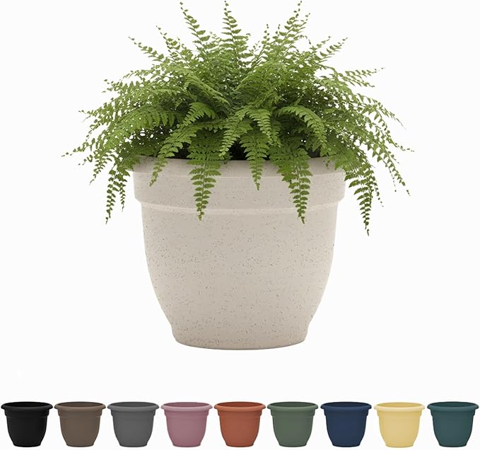 Bloem Ariana 8" Vanilla Bean Round Self-Watering Resin Planter Pot - Rolled Rim Indoor and Outdoor Gardening Planter