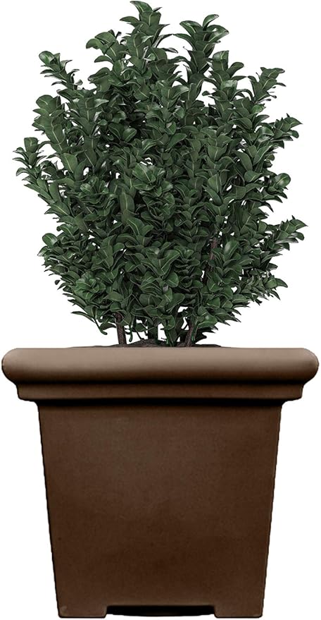 The HC Companies Terrazzo Square Plant Pot w/Drainage - Classic Planters for Outdoor Plants & Indoor Plants - Large UV-Resistant Plastic Pots for Plants (24”, Chocolate, Pack of 1)