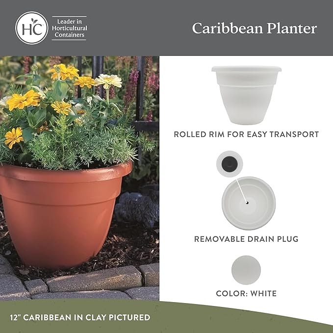 The HC Companies 8 Inch Caribbean Planter Pots with Drainage & Plug, Rolled Rim Plastic Planters for Indoor & Outdoor Plants, 4-Pack Decorative Flower Pots for Garden, Office & Home Decor, White