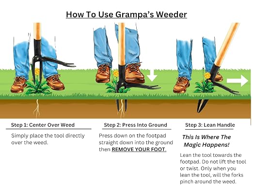 Grampa's Weeder - The Original Stand Up Weed Puller Tool with Long Handle - Made with Real Bamboo & 4-Claw Steel Head Design - Easily Remove Weeds Without Bending, Pulling, or Kneeling. - Image 6
