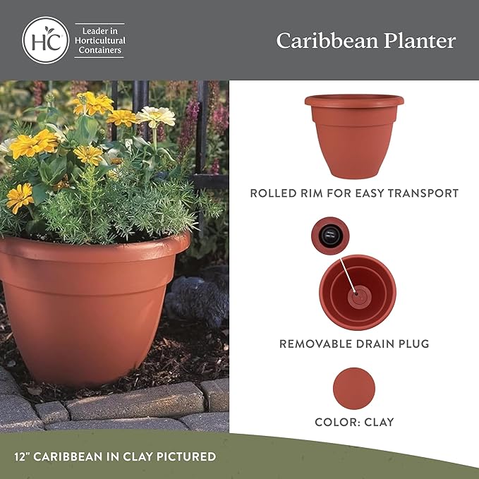 The HC Companies 6 Inch Caribbean Planter Pots with Drainage & Plug, Rolled Rim Plastic Planters for Indoor & Outdoor Plants, 4-Pack Decorative Flower Pots for Garden, Office & Home Decor, Clay