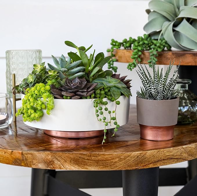 The HC Companies 8 Inch Round Plastic Succulent Capri Bowl Decorative Indoor Flower Succulent Planter Pot with Drain Plug Hole, Vanilla Bisque