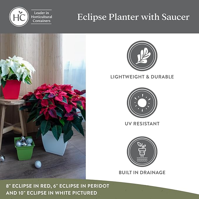 The HC Companies Eclipse Square Plastic Planter w/Attached Saucer - Outdoor & Indoor Plant Pot with Drainage Holes - Lightweight, UV-Resistant Plastic Pots for Plants (6" Teal, Pack of 1)