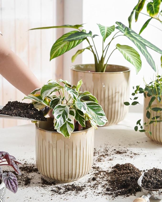 LE TAUCI Ceramic Pots for Plants, 8.3/7/6 Inch Indoor Planters with Drainage Holes & Mesh, Modern Glossy Glaze Cylinder Fluted Plant Pot for Snake Plant, Set of 3, Sand Beige