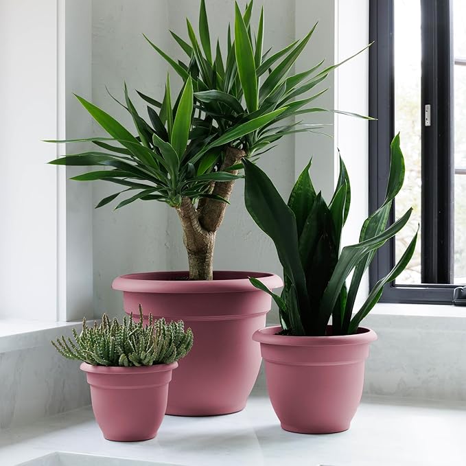 Bloem Ariana 10" Dusty Rose Round Self-Watering Resin Planter Pot - Rolled Rim Indoor and Outdoor Gardening Planter