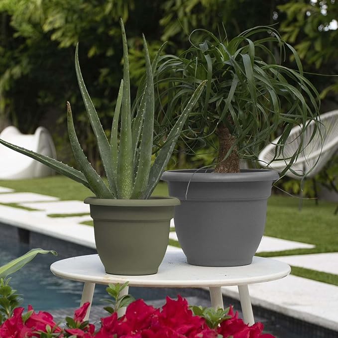 Bloem Ariana 8" Charcoal Round Self-Watering Resin Planter Pot - Rolled Rim Indoor and Outdoor Gardening Planter