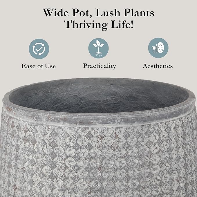 Worth 12" Round Planter, Lightweight Magnesium Oxide Cement Plant Pot, Raised Pattern Concrete Look with Drainage Hole for Indoor or Outdoor Use, Grey
