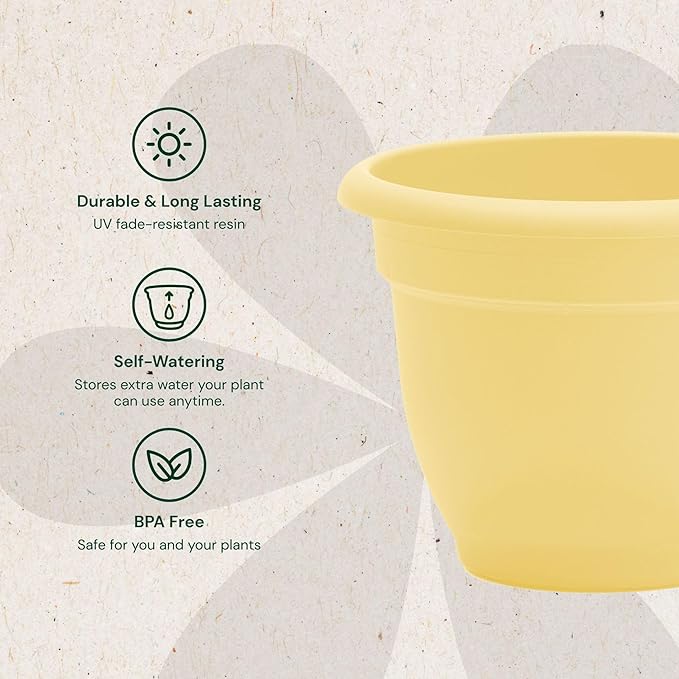 Bloem Ariana 8" Daffodil Round Self-Watering Resin Planter Pot - Rolled Rim Indoor and Outdoor Gardening Planter