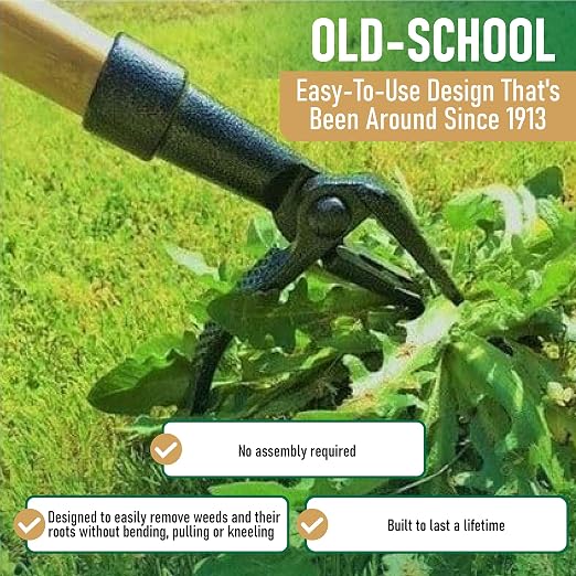 Grampa's Weeder - The Original Stand Up Weed Puller Tool with Long Handle - Made with Real Bamboo & 4-Claw Steel Head Design - Easily Remove Weeds Without Bending, Pulling, or Kneeling. - Image 3