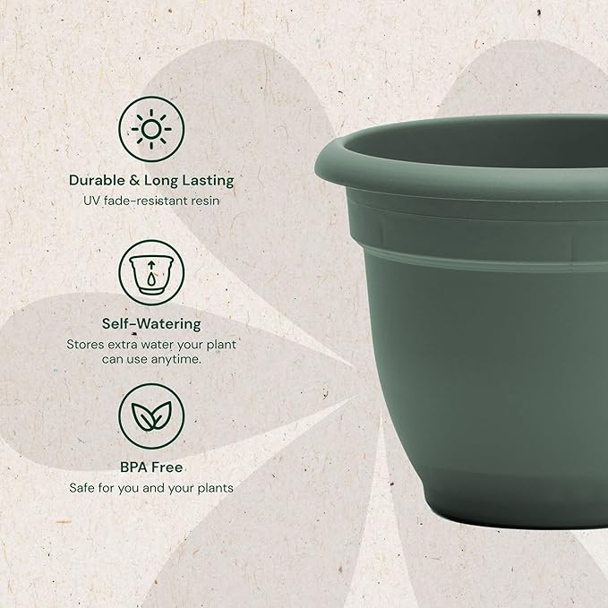Bloem Ariana 6" Basil Round Self-Watering Resin Planter Pot - Rolled Rim Indoor and Outdoor Gardening Planter