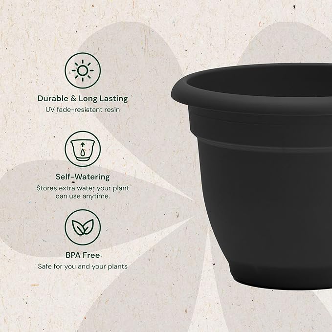 Bloem Ariana 8" Self-Watering Plastic Planter - Rolled Rim Indoor/Outdoor Garden Pot, Black