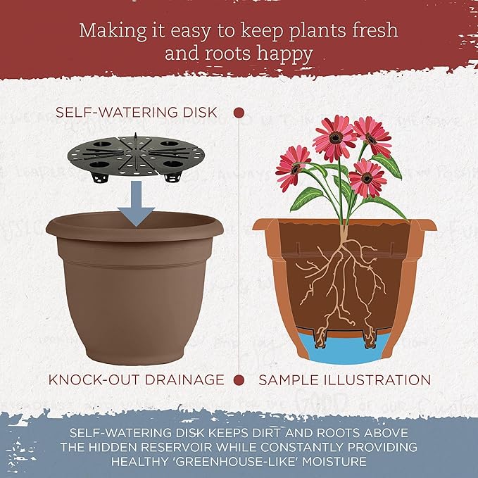 Bloem Ariana Self Watering Planter: 12" - Chocolate - Durable Resin Pot, for Indoor and Outdoor Use, Self Watering Disk Included, Gardening, 3 Gallon Capacity
