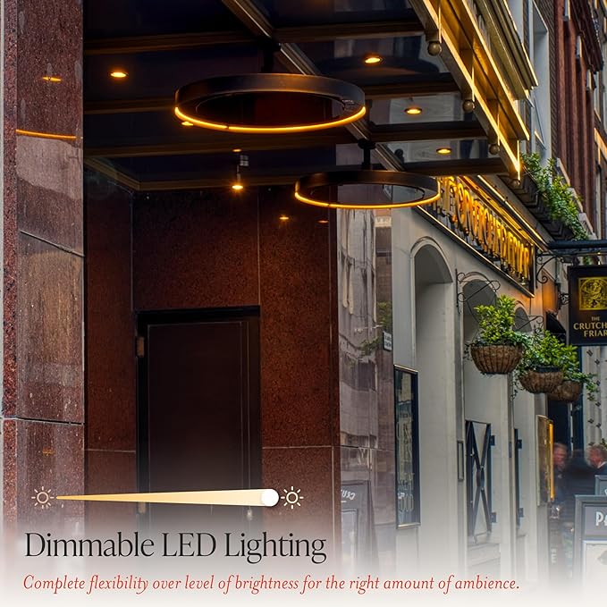 Bromic Eclipse Smart Heat 2900W Electric Patio Heater - Dimmable LED Light Ring, Radiant Heat, 220V-240V, Black Finish - BH0920001-1