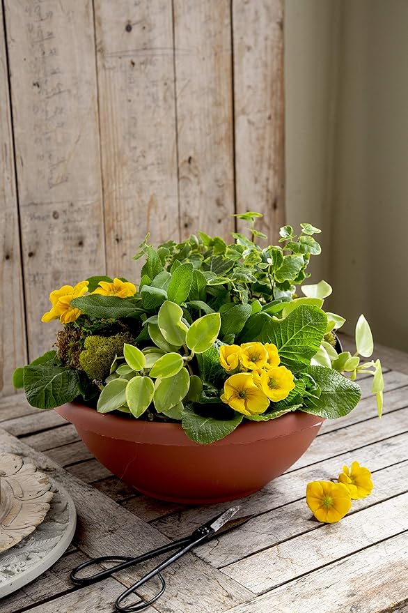 The HC Companies 20 Inch Large Garden Bowl Planter - Shallow Plant Pot with Drainage Plug for Indoor Outdoor Flowers, Herbs, Teal (Pack of 4)