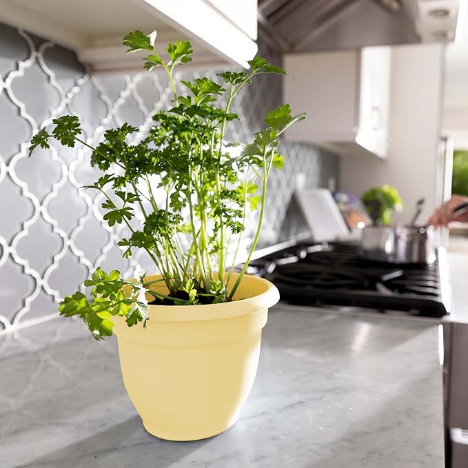 Bloem Ariana 8" Daffodil Round Self-Watering Resin Planter Pot - Rolled Rim Indoor and Outdoor Gardening Planter
