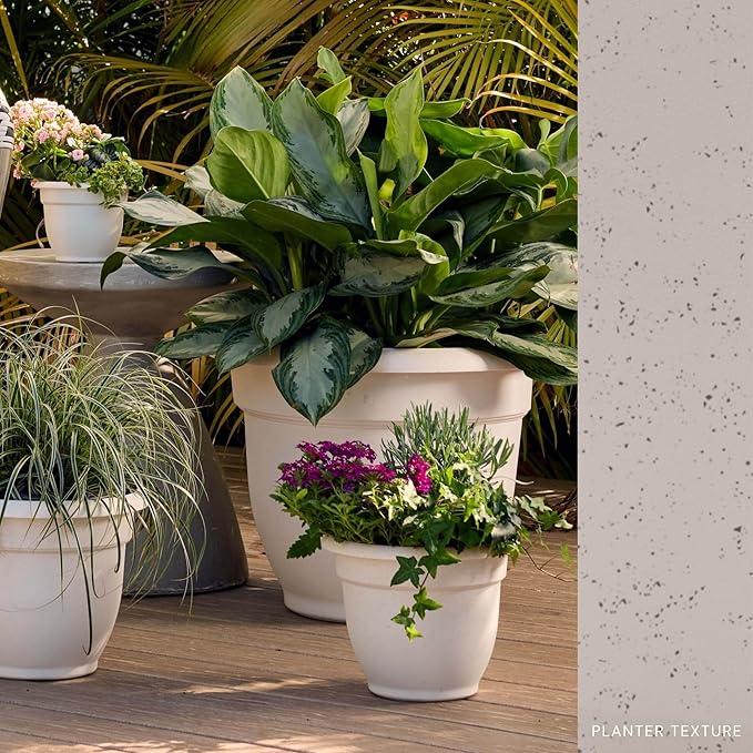 Bloem Ariana 16" Vanilla Bean Round Self-Watering Resin Planter Pot - Rolled Rim Indoor and Outdoor Gardening Planter