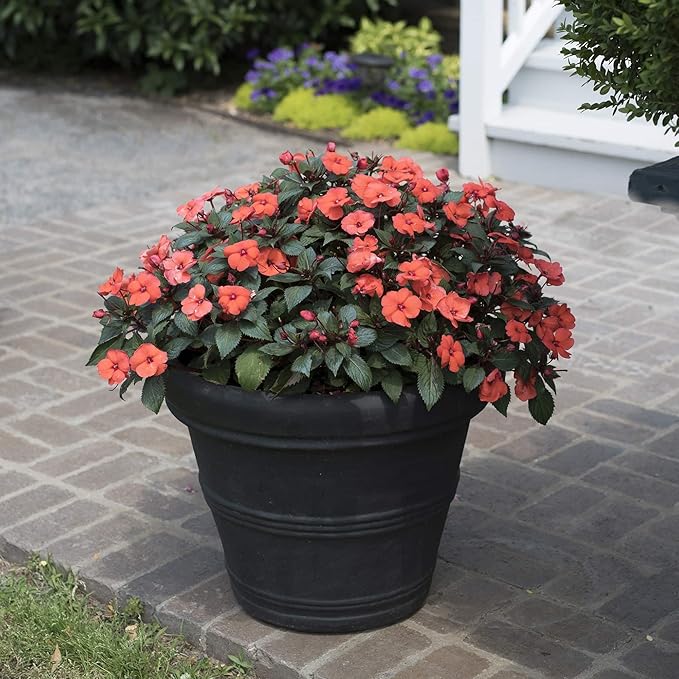 Crescent Garden Brunello Planter, Classic Rolled-Rim Plant Pot, Lightweight, Indoor & Outdoor Large Flowerpot - UV Safe & Frost Resistant - 27" W (Rust)