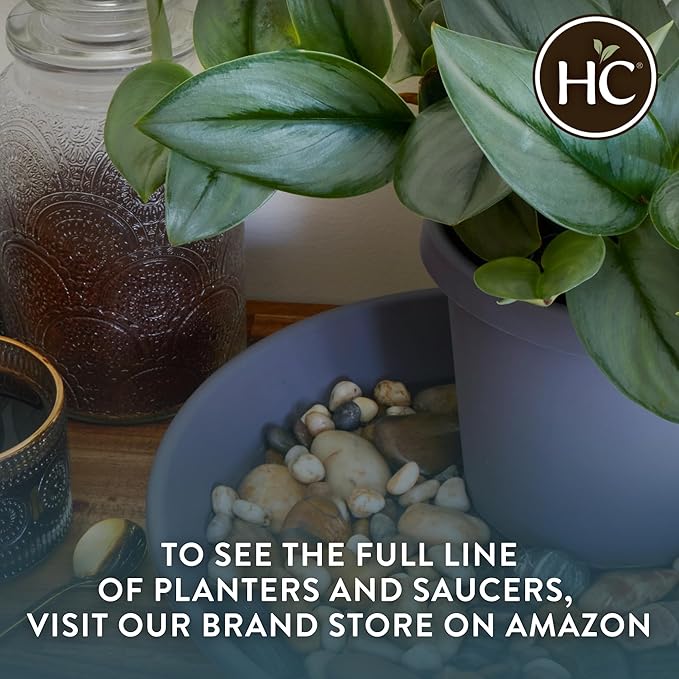 The HC Companies 11.5 Inch Classic Round Planter Pots with Drainage, Rolled Rim Plastic Planters for Indoor & Outdoor Plants, 2-Pack Decorative Flower Pots for Garden, Office & Home Decor, Sandstone