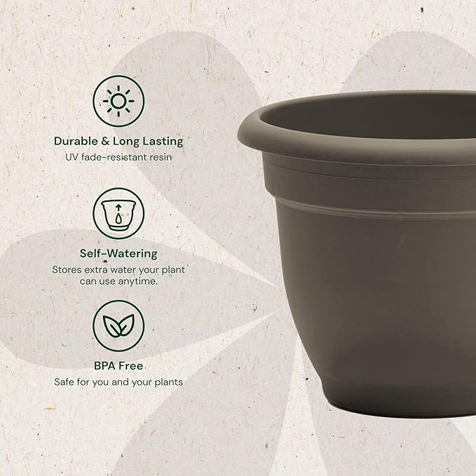 Bloem Ariana 10" Peppercorn Round Self-Watering Resin Planter Pot - Rolled Rim Indoor and Outdoor Gardening Planter