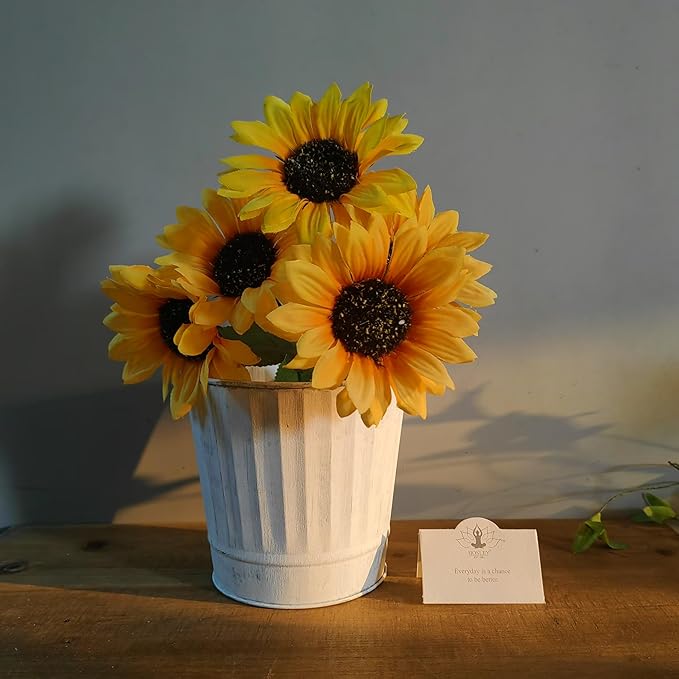 Hosley Pack of 2 White Wash Metal Planters, 5" Diameter x 4.8" High Rustic Farmhouse Buckets for Floral Arrangements, Weddings, Parties, Events & Home D??cor