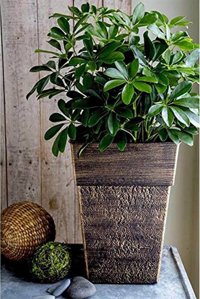 The HC Companies 18 Inch Avino Tall Square Planter - Decorative Indoor Outdoor Plant Pot for Front Porch, Deck, Patio and Home, Celtic Bronze