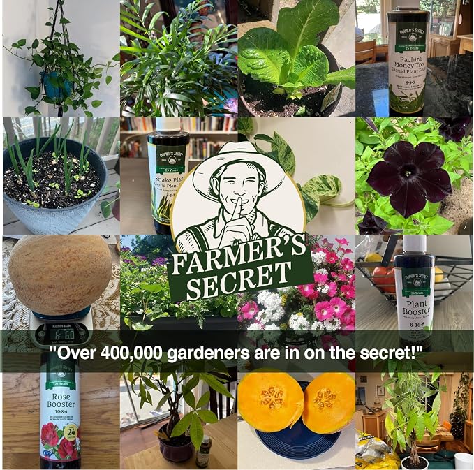 Farmer’s Secret Fruit & Bloom Booster Fertilizer (32oz) - Super Concentrated - Boosts Flowering and Yield on All Varieties of Fruits, Vegetables and Flowers - Image 5