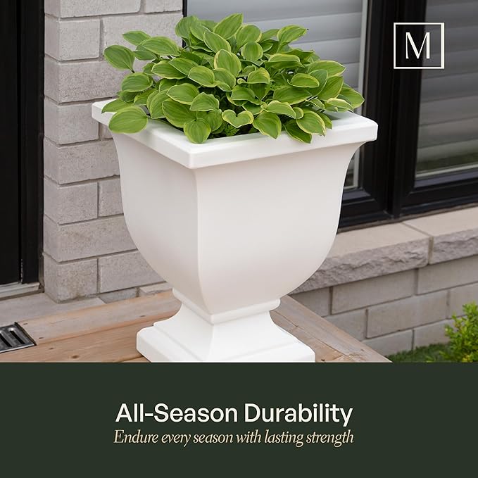 Mayne Inc. Augusta 20in Tall Planter - Black - 15in L x 15in W x 20in H - with Built-in Water Reservoir (5893-B)