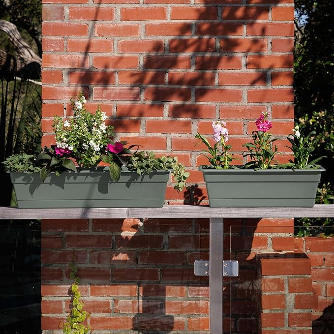 Bloem Dura Cotta 24" Basil Resin Rectangle Window Box Planter with Saucer Tray for Indoor and Outdoor Gardening