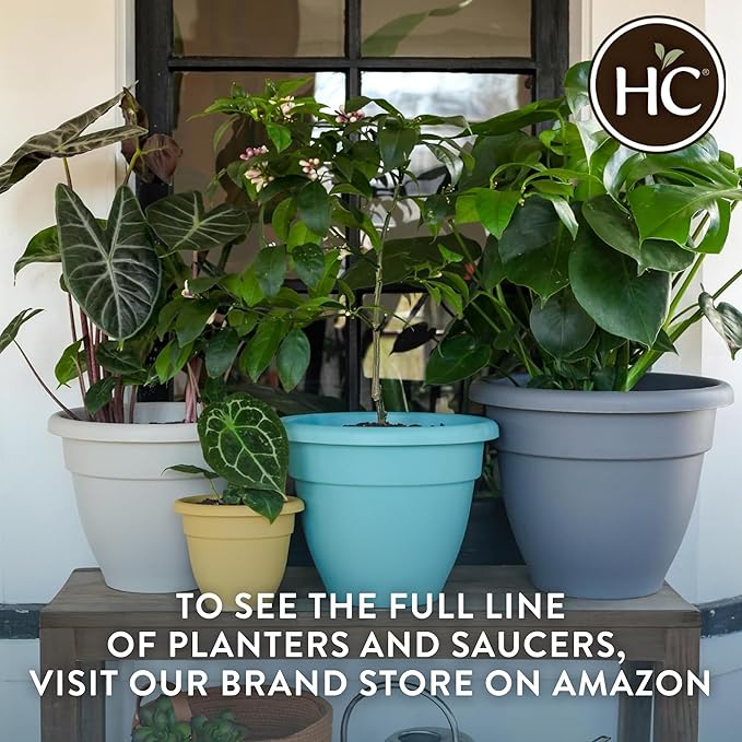 The HC Companies 8 Inch Caribbean Planter Pots with Drainage & Plug, Rolled Rim Plastic Planters for Indoor & Outdoor Plants, 4-Pack Decorative Flower Pots for Garden, Office & Home Decor, Clay