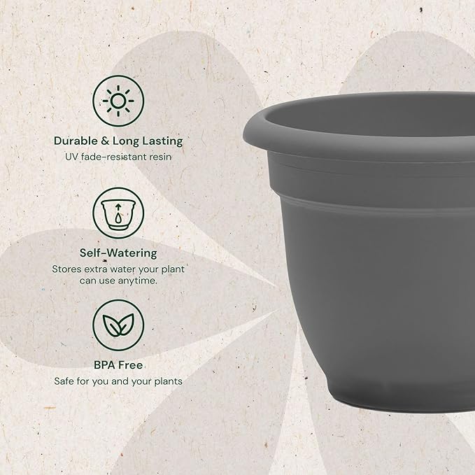 Bloem Ariana 8" Charcoal Round Self-Watering Resin Planter Pot - Rolled Rim Indoor and Outdoor Gardening Planter