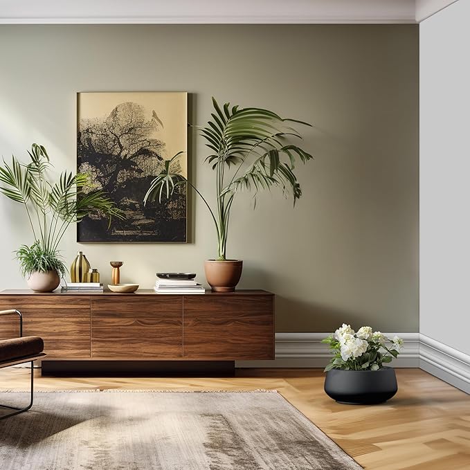 Kante 16.9" Dia Round Concrete Bonsai Planters, Outdoor Indoor Garden Plant Pot with Drainage Hole for Home, Patio, Garden, Black