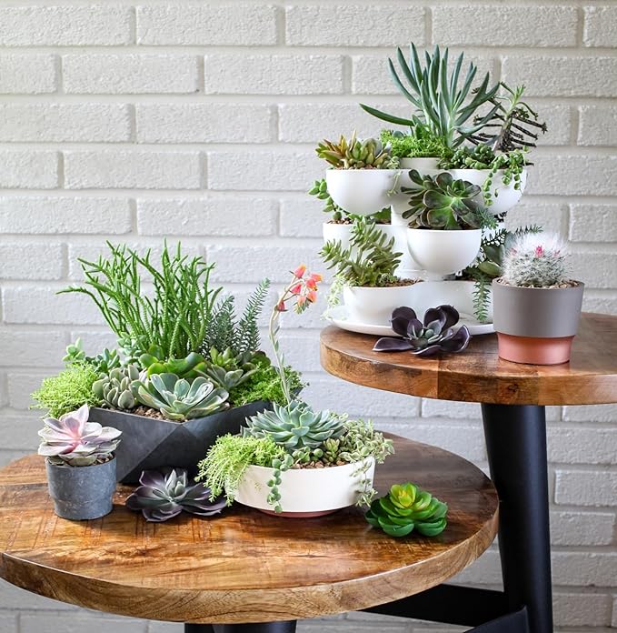 The HC Companies 6 Inch Round Plastic Succulent Capri Bowl 6"x6"x2.25" in Faux Concrete Color