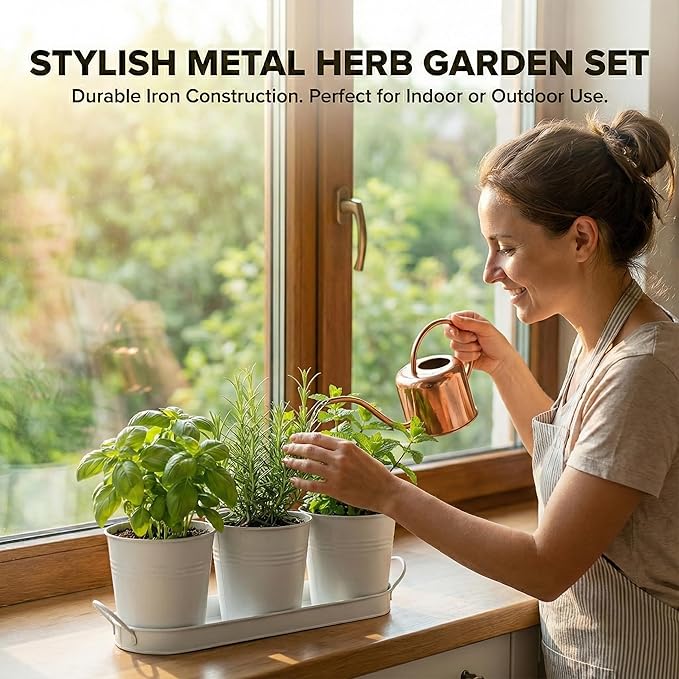 Herb Garden Planter Set ?€? 3-Pcs Set Galvanized Metal Herb Planters for Indoors Plants with Tray ?€? Indoor Plant Pots for Apartment Window, Balcony, Garden ?€? Potting Pots for Herbs and Flowers