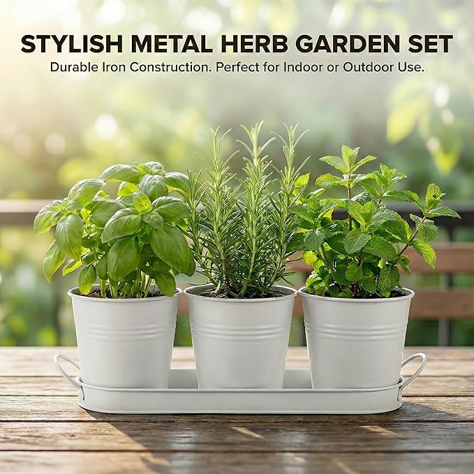 Herb Garden Planter Set ?€? 3-Pcs Set Galvanized Metal Herb Planters for Indoors Plants with Tray ?€? Indoor Plant Pots for Apartment Window, Balcony, Garden ?€? Potting Pots for Herbs and Flowers