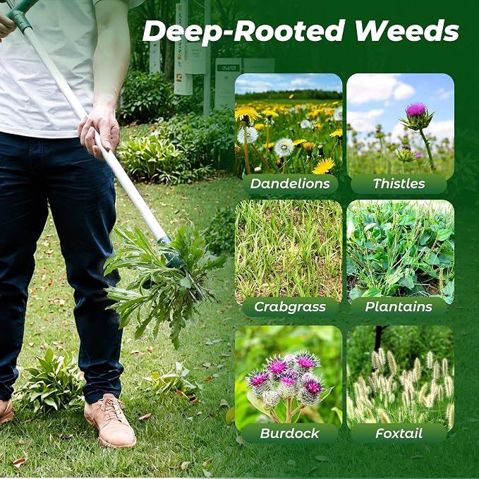 Walensee Weed Puller, Stand Up Weeder Hand Tool, Long Handle Garden Weeding Tool with 3 Claws, Hand Weed Hound Weed Puller for Dandelion, Standup Weed Root Pulling Tool and Picker, Grabber (1 Pack) - Image 7