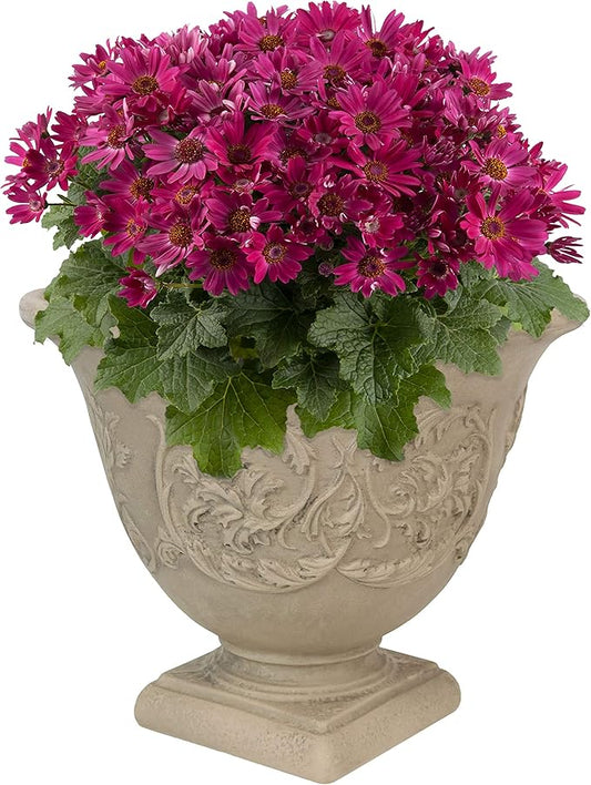 Sunnydaze 16-Inch Darcy Round Plant Pot - Polyresin Large Outdoor Urn Planter with Drillable Drainage Hole - Beige