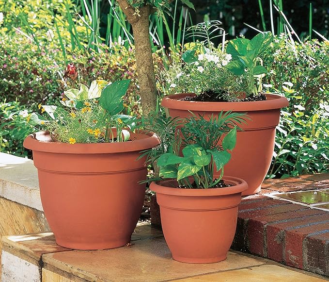 Bloem Fiskars 12 Inch Ariana Planter with Self-Watering Grid, Color Clay