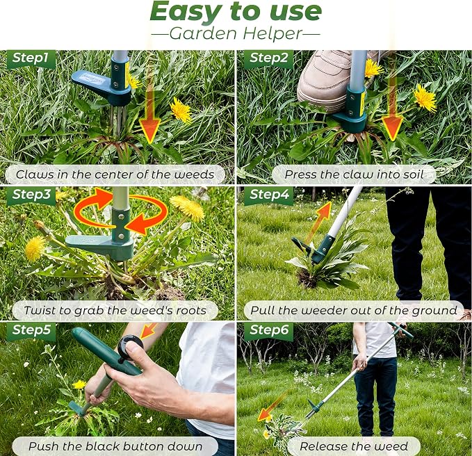 Walensee Weed Puller, Stand Up Weeder Hand Tool, Long Handle Garden Weeding Tool with 3 Claws, Hand Weed Hound Weed Puller for Dandelion, Standup Weed Root Pulling Tool and Picker, Grabber (1 Pack) - Image 6