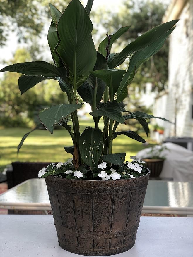 Sapphire Plant Pots Set of 2 Pack 10 inch, Copper Whiskey Barrel Planters with Drainage Holes. Plastic Decoration Flower Pots Imitation Wine Barrel Design (Copper-S)