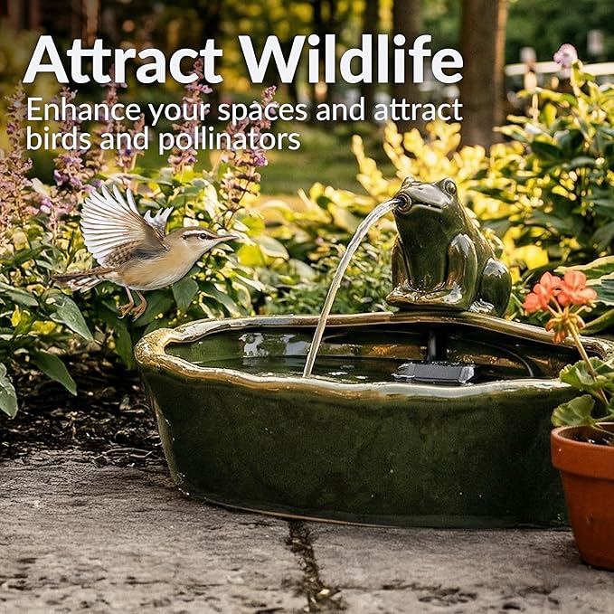 Sunnydaze Ceramic Solar-Powered Water Fountain - Green Glaze - Low-Voltage Submersible Pump with Filter - Frog